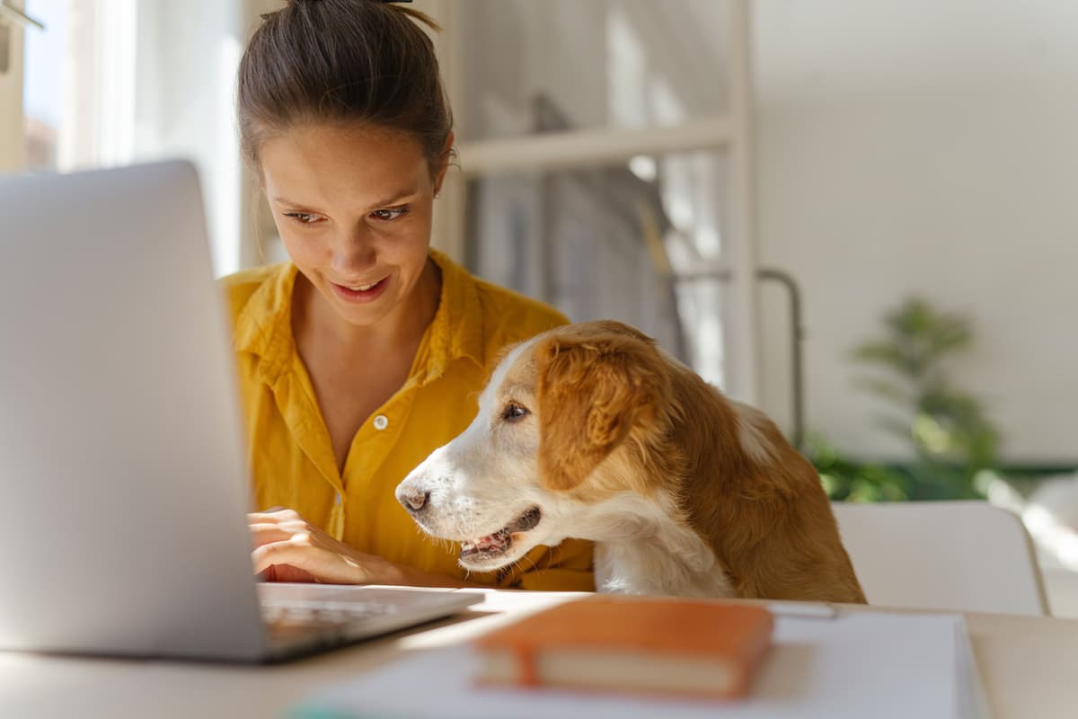 conveyancing solicitors bracknell