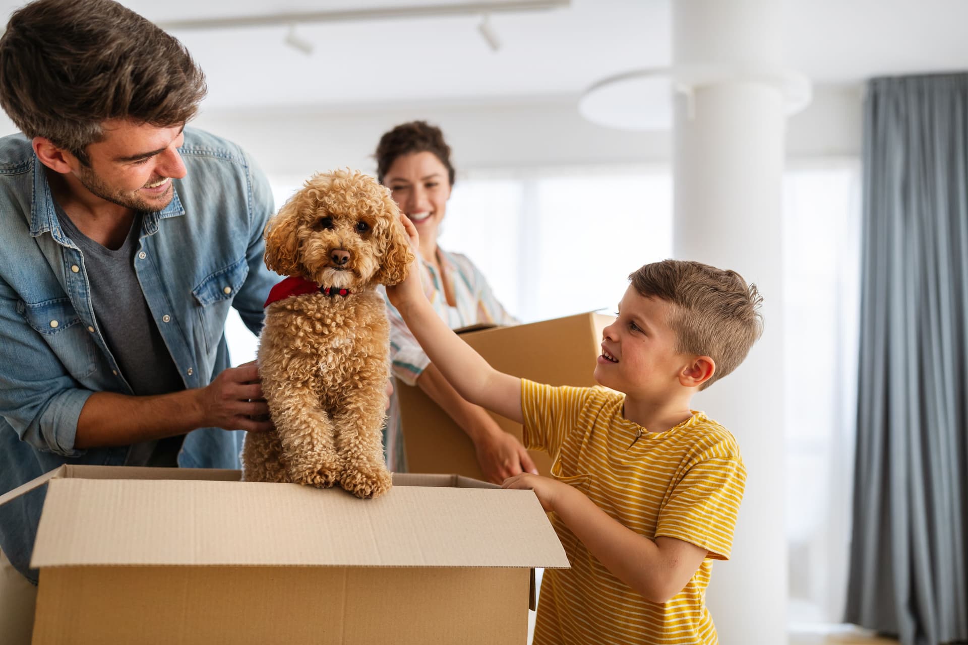 property relocation services in bracknell
